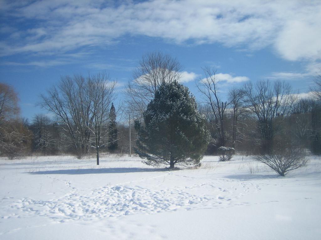 Harbert House Bed And Breakfast Exterior foto